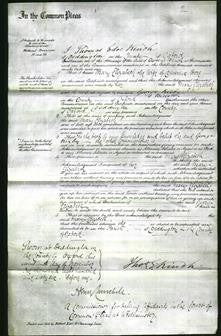 Court of Common Pleas - Mary Elizabeth Hore-Original Ancestry