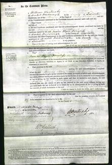 Court of Common Pleas - Frances Mary Hildebreand-Original Ancestry