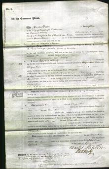 Court of Common Pleas - Eliza Ann Gordon-Original Ancestry