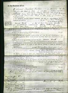 Court of Common Pleas - Mary Ann Furlonger-Original Ancestry