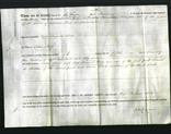 Deed by Married Women - Kate Frances Steele-Original Ancestry