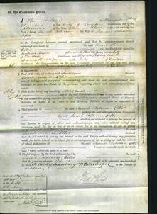 Court of Common Pleas - Sarah Rebecca Ellis-Original Ancestry