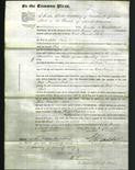 Court of Common Pleas - Kate Frances Steele-Original Ancestry