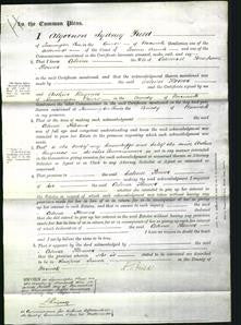 Court of Common Pleas - Celina Flower-Original Ancestry