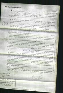 Court of Common Pleas - Sarah Rebecca Ellis-Original Ancestry