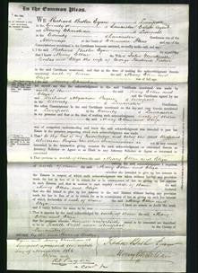 Court of Common Pleas - Mary Ellen Ecctes and Eliza Fisher-Original Ancestry