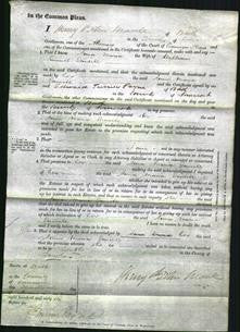 Court of Common Pleas - Anna Maria Daniell-Original Ancestry