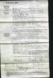 Court of Common Pleas - Caroline Ann Nevins-Original Ancestry