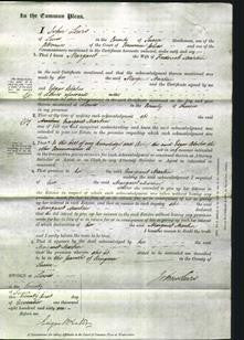 Court of Common Pleas - Margaret Martin-Original Ancestry