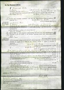 Court of Common Pleas - Emily Cade-Original Ancestry