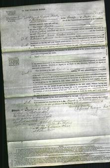 Court of Common Pleas - Elizabeth Craig-Original Ancestry