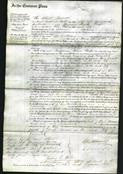 Court of Common Pleas - Mary Ann Livingstone, Susannah Tyler-Original Ancestry