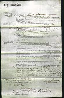 Court of Common Pleas - Jane Russell-Original Ancestry