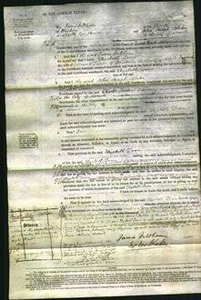 Court of Common Pleas - Elizabeth Tann-Original Ancestry