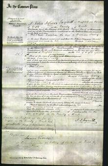 Court of Common Pleas - Caroline Sawley-Original Ancestry