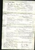 Court of Common Pleas - Georgiana Emily Johns-Original Ancestry