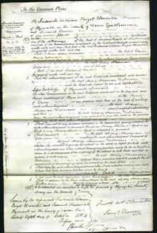 Court of Common Pleas - Mary Newman Debnam-Original Ancestry