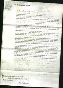 Court of Common Pleas - Jane Holman-Original Ancestry