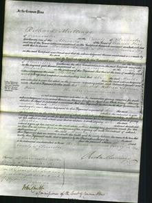 Court of Common Pleas - Martha Fry-Original Ancestry