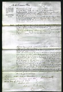 Court of Common Pleas - Eleanor Elizabeth Hamilton-Original Ancestry