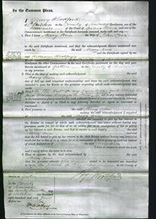 Court of Common Pleas - Mary Ann Cook-Original Ancestry