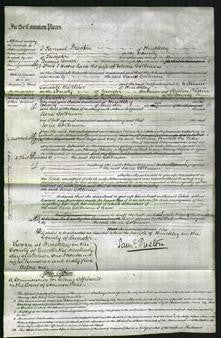 Court of Common Pleas - Jane Coltman-Original Ancestry