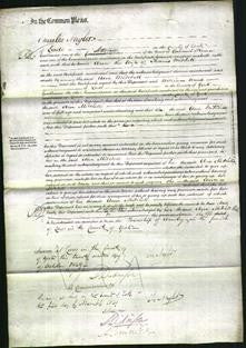 Court of Common Pleas - Ann Mitchell-Original Ancestry