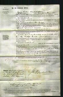 Court of Common Pleas - Sarah Lewis-Original Ancestry