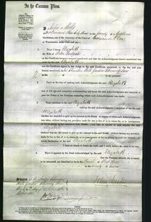 Court of Common Pleas - Elizabeth Ludgate-Original Ancestry