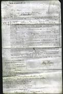 Court of Common Pleas - Elizabeth Robinson-Original Ancestry