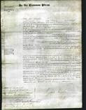Court of Common Pleas - Rosa Emily Freeborn-Original Ancestry