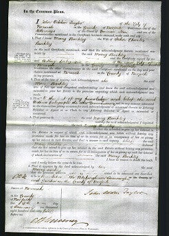 Court of Common Pleas - Mary Barkley-Original Ancestry