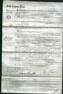 Court of Common Pleas - Jane Dryden-Original Ancestry