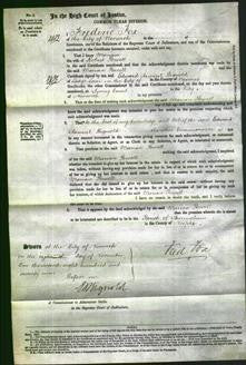 Court of Common Pleas - Marian Powell-Original Ancestry