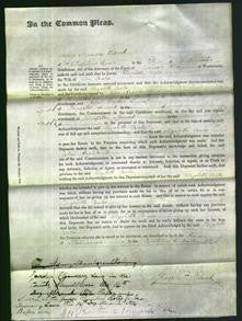 Court of Common Pleas - Elizabeth Coales-Original Ancestry