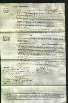 Court of Common Pleas - Marianne Sharp-Original Ancestry