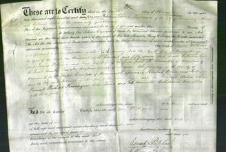 Deed by Married Women - Ann Williams-Original Ancestry