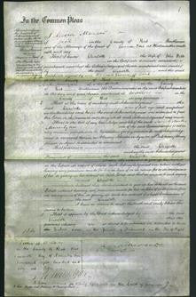 Court of Common Pleas - Charlotte Webb-Original Ancestry