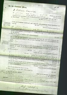 Court of Common Pleas - Mary Ann Tomlin