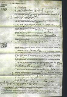 Court of Common Pleas - Frances King-Original Ancestry