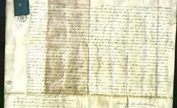 Court of Common Pleas - Sophia Colpman and Maria Bland-Original Ancestry