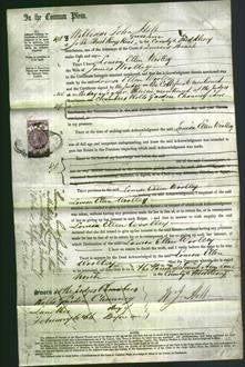 Court of Common Pleas - Louisa Ellen Woolley-Original Ancestry