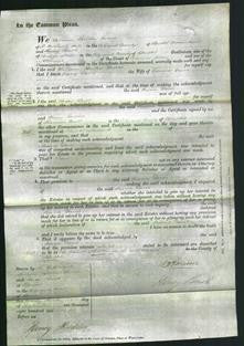 Court of Common Pleas - Maria Davis-Original Ancestry