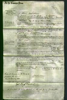 Court of Common Pleas - Eliza Walthew-Original Ancestry