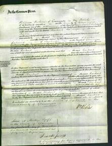 Court of Common Pleas - Rachael Hopkin-Original Ancestry