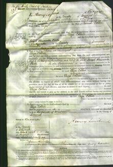 Court of Common Pleas - Eliza Collier-Original Ancestry