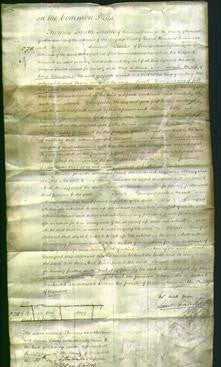 Court of Common Pleas - Sarah Davenport-Original Ancestry