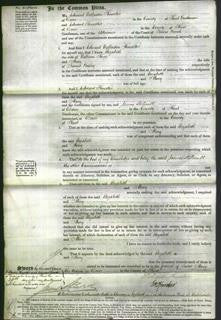 Court of Common Pleas - Elizabeth King and Mary Bailey-Original Ancestry