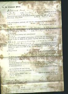 Court of Common Pleas - Elizabeth Vayne-Original Ancestry