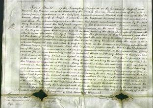 Court of Common Pleas - Mary Woodcock-Original Ancestry
